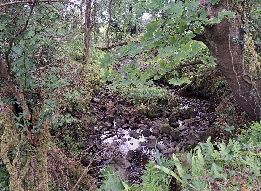 Tullynascreen, Dromahair