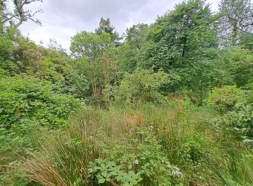 Tullynascreen, Dromahair