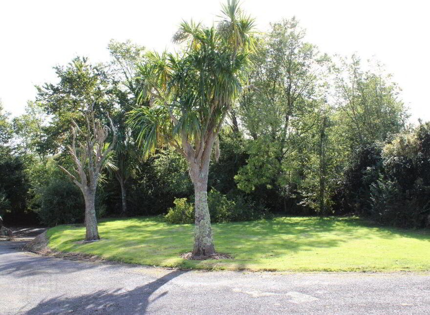 Coolballow, Wexford Town, Y35W2H5