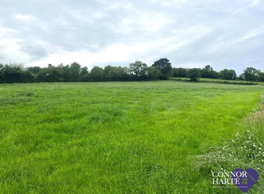 21A Kilmascally Road, Ardboe, Dungannon, BT71 5BH