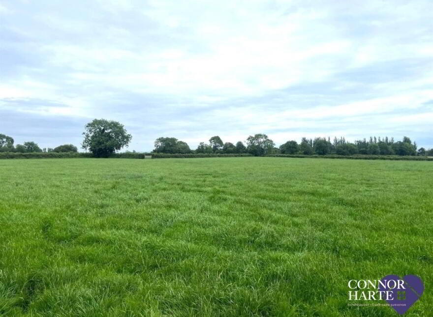 21A Kilmascally Road, Ardboe, Dungannon, BT71 5BH