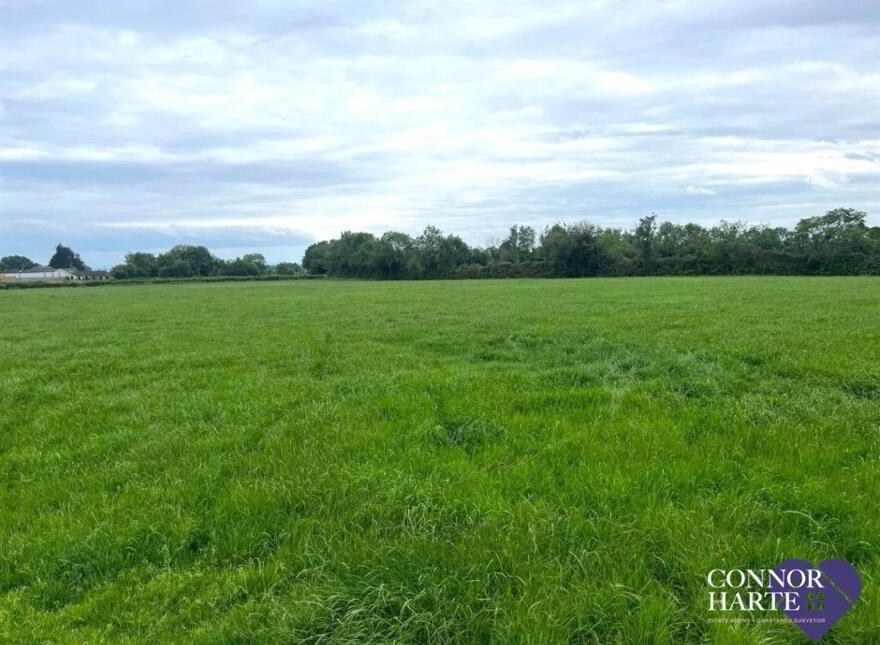 21A Kilmascally Road, Ardboe, Dungannon, BT71 5BH