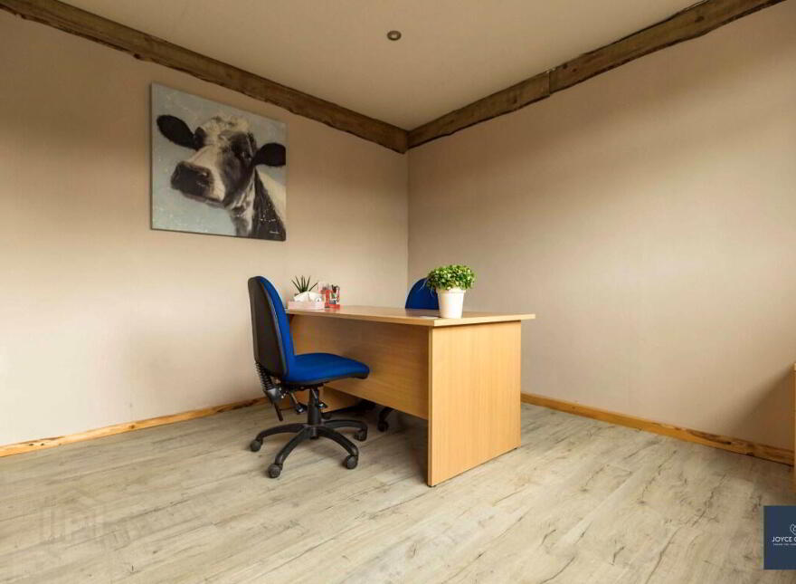 25b Magheralone Road, Ballynahinch, BT24 8ND