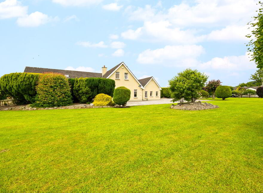 Pheasant Rise, Ballykealy, Ballon, R93R256