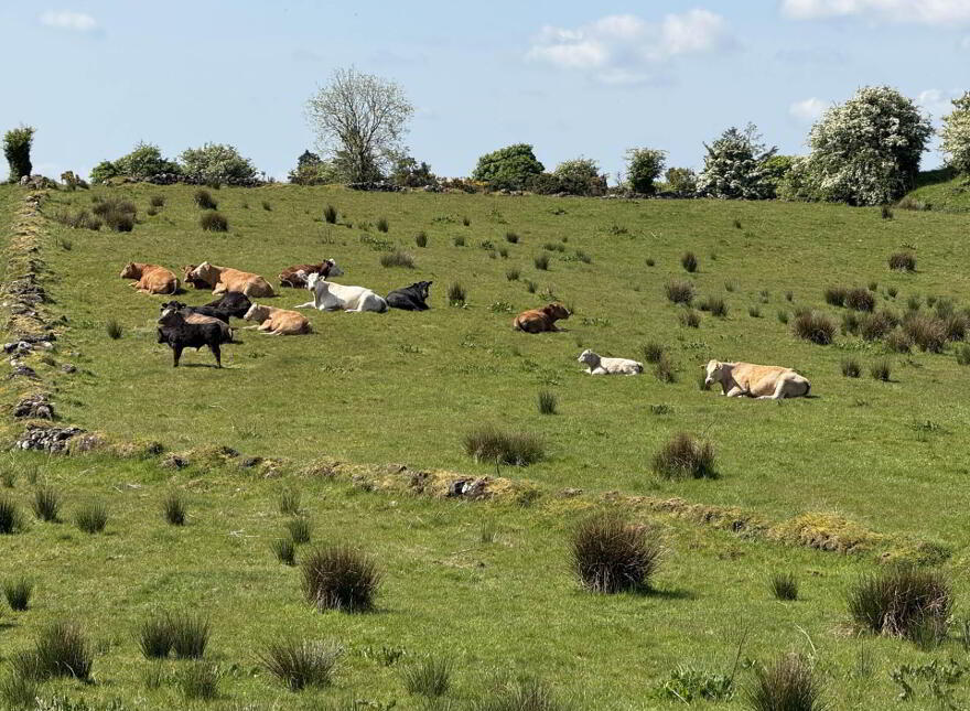 Lassanny, Ballyhaunis, F35N128 photo