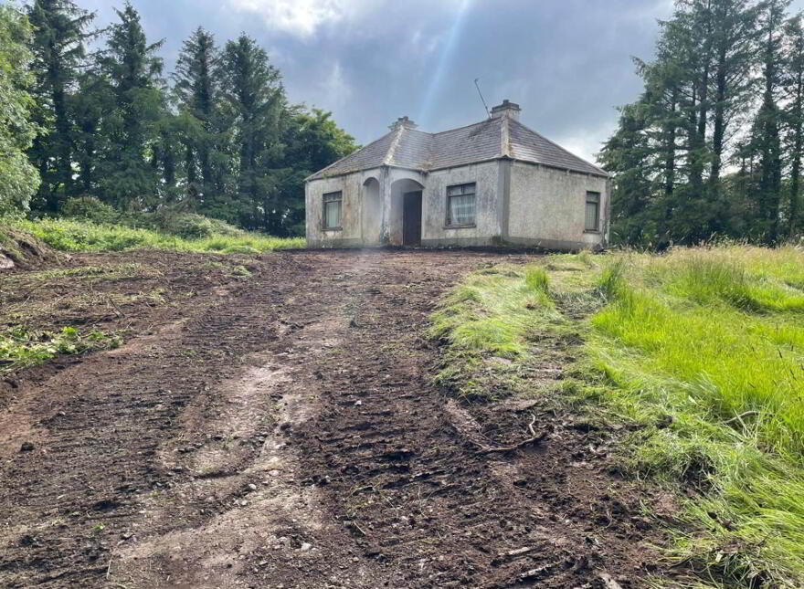 Lassanny, Ballyhaunis, F35N128 photo