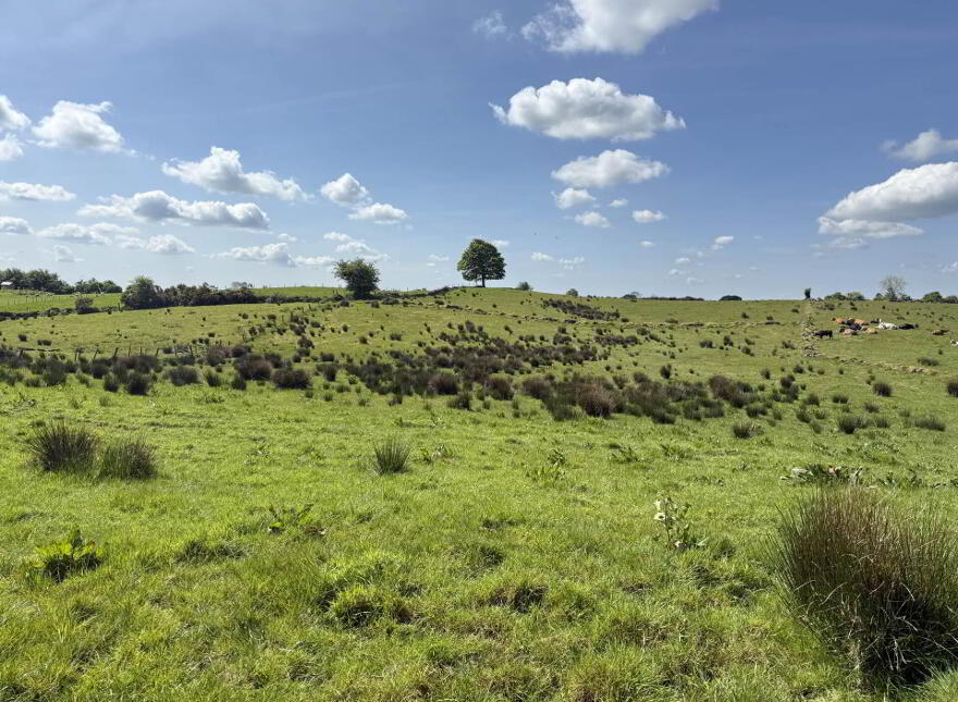 Lassanny, Ballyhaunis, F35N128