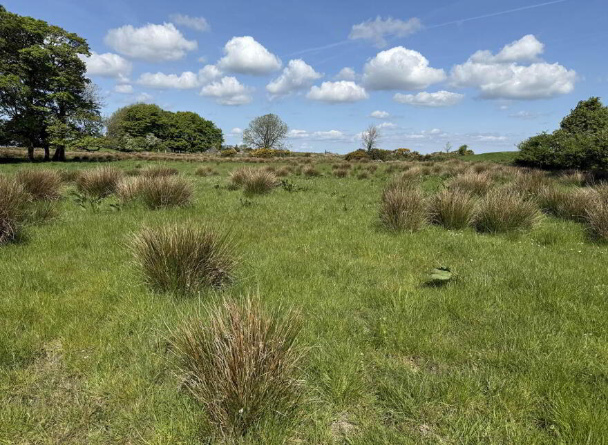 Lassanny, Ballyhaunis, F35N128