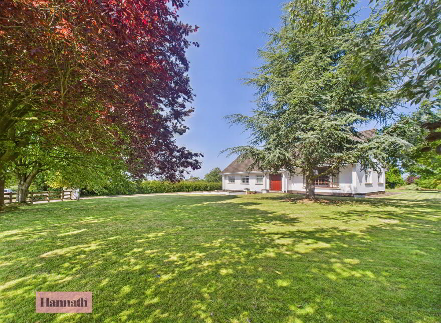 19 Drumgoose Road, Portadown, Craigavon, BT62 1PH