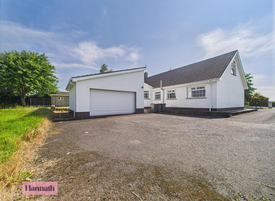 19 Drumgoose Road, Portadown, Craigavon, BT62 1PH
