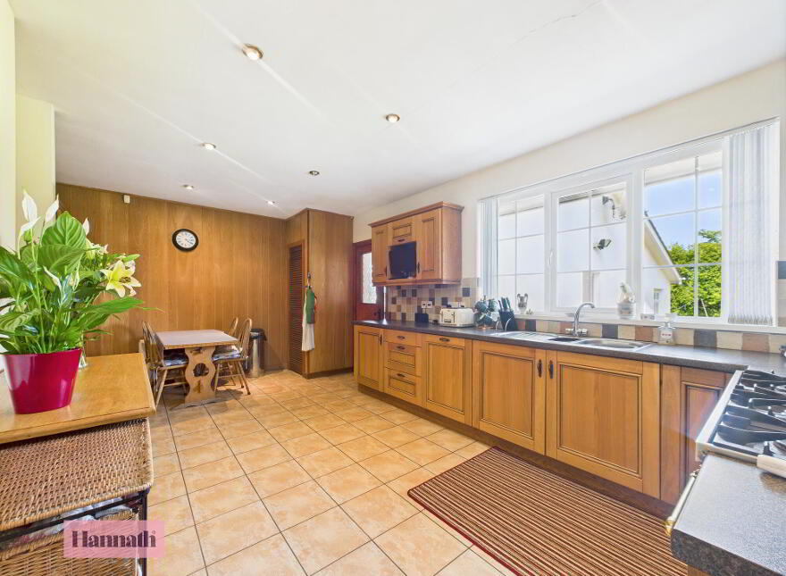 19 Drumgoose Road, Portadown, Craigavon, BT62 1PH