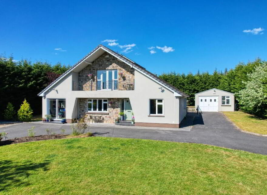 Gaigue, Ballinamuck, N39AF40 photo