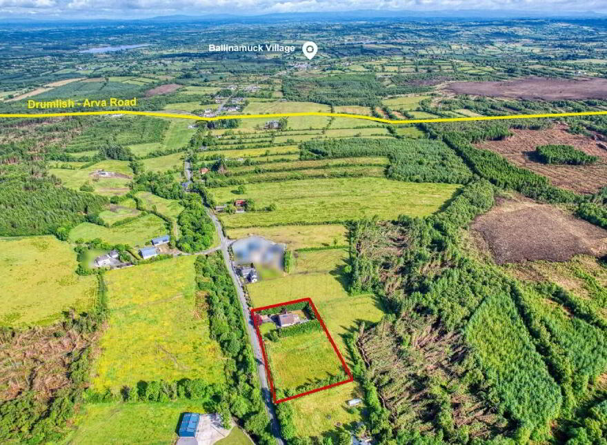 Gaigue, Ballinamuck, N39AF40