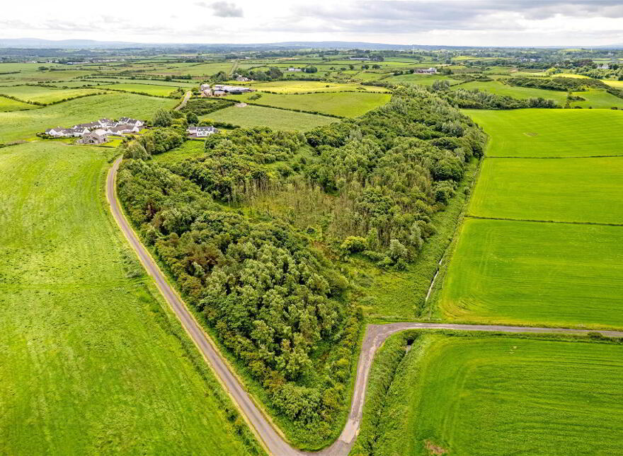 Woodland At 26 Leeke Road, Bushmills, BT57 8UN photo