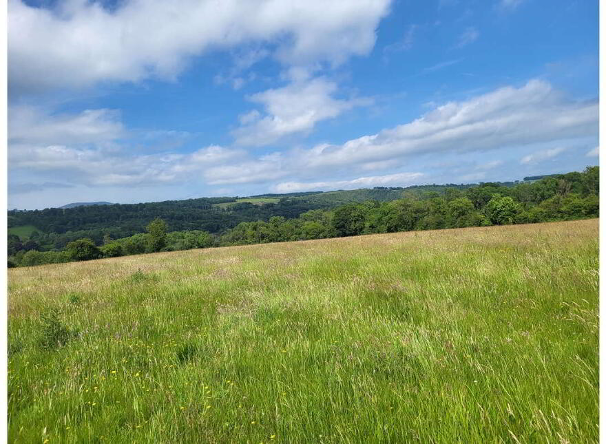 Bawnmore, Lismore, P51RX93
