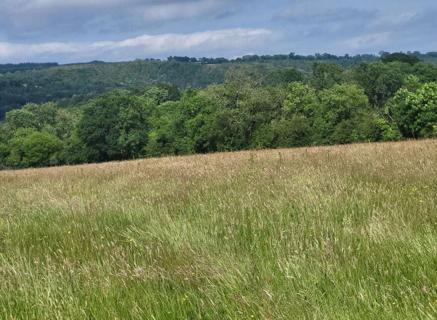 Bawnmore, Lismore, P51RX93