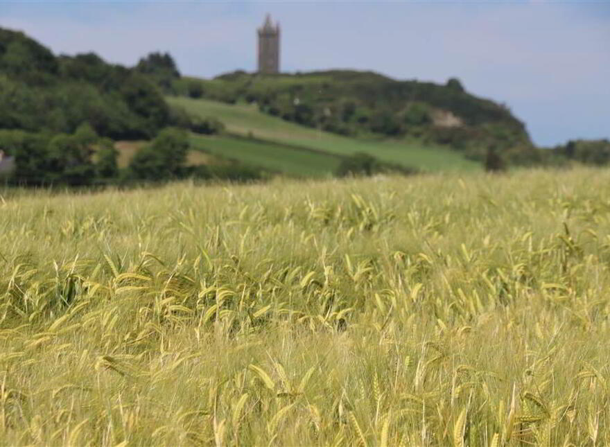 'Mount Cairn', 106 Newtownards Road, Comber, BT23 5LD