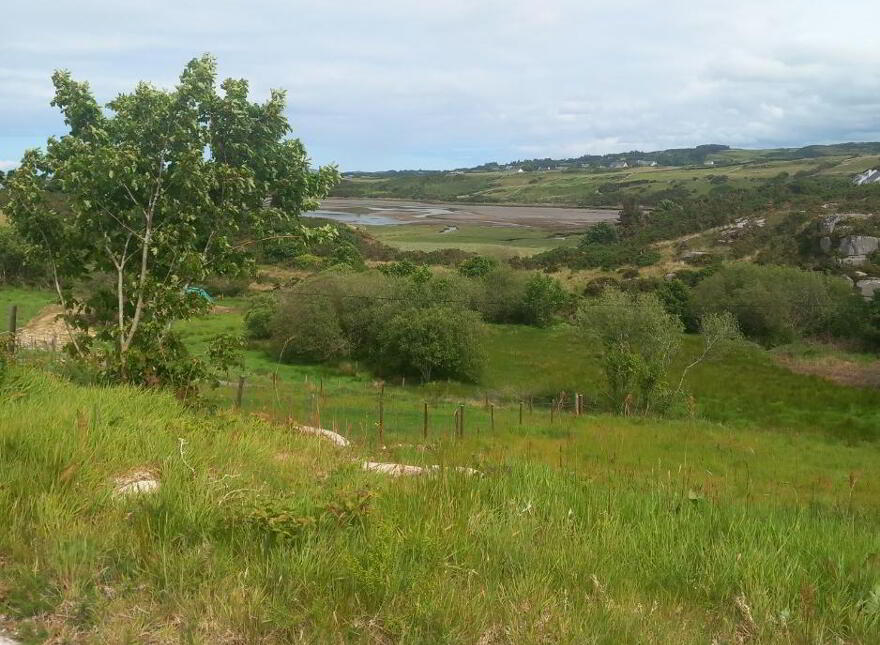 -Ardsbeg, Gortahork