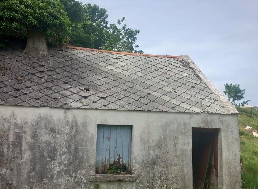 -Ardsbeg, Gortahork