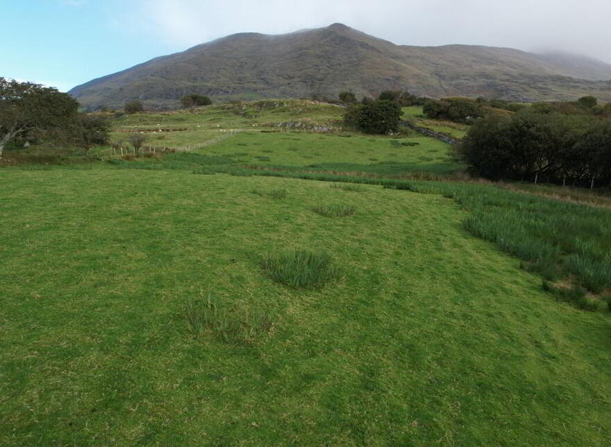 C. 35 Acres Gorteendarragh, Kilsallagh, Westport,Mayo