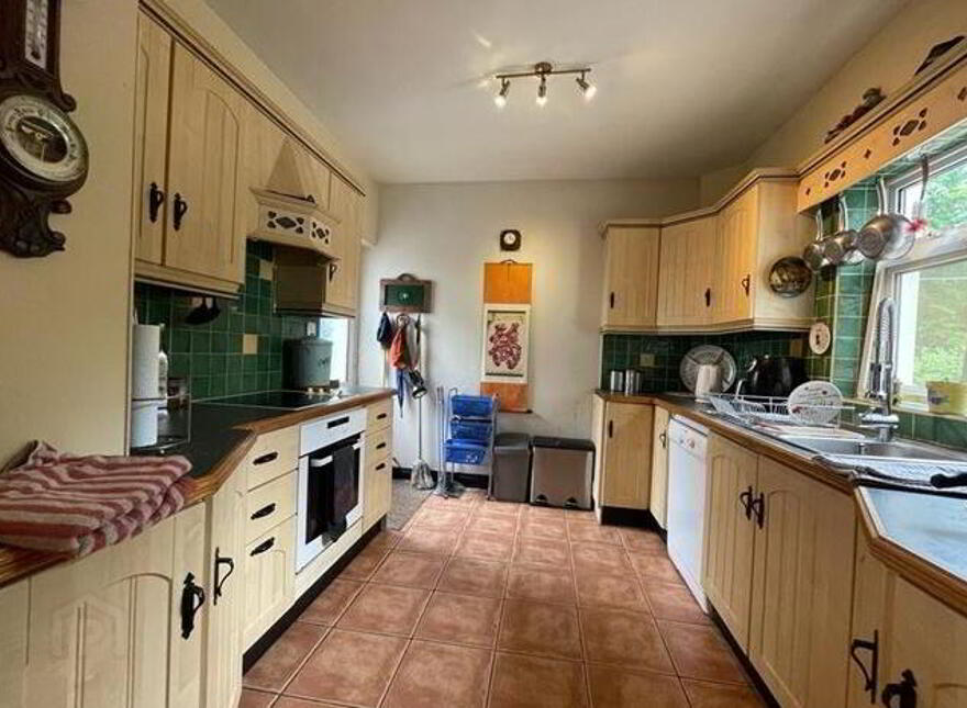 Drumnalasson, Ballaghaderreen, F45R660