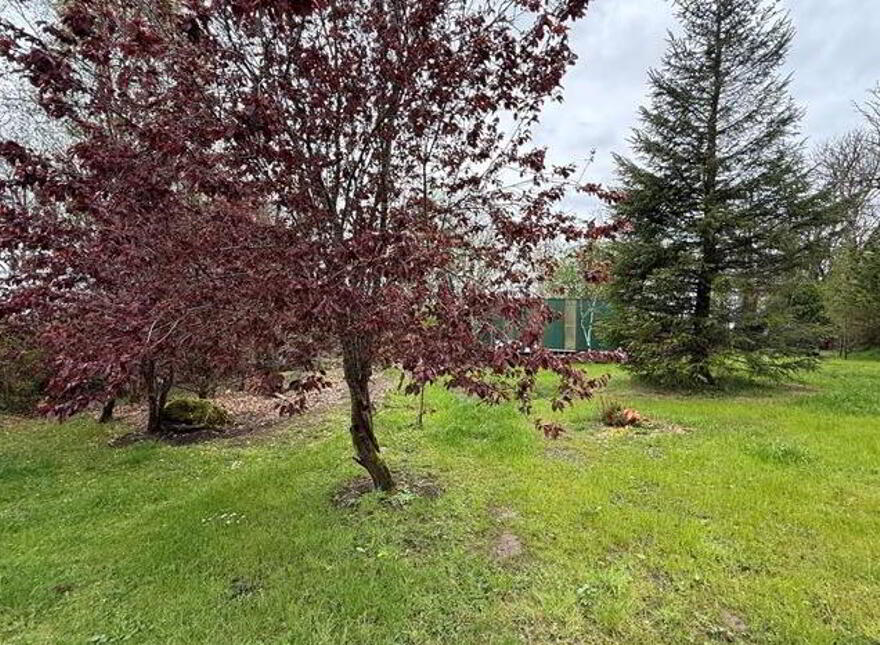 Drumnalasson, Ballaghaderreen, F45R660