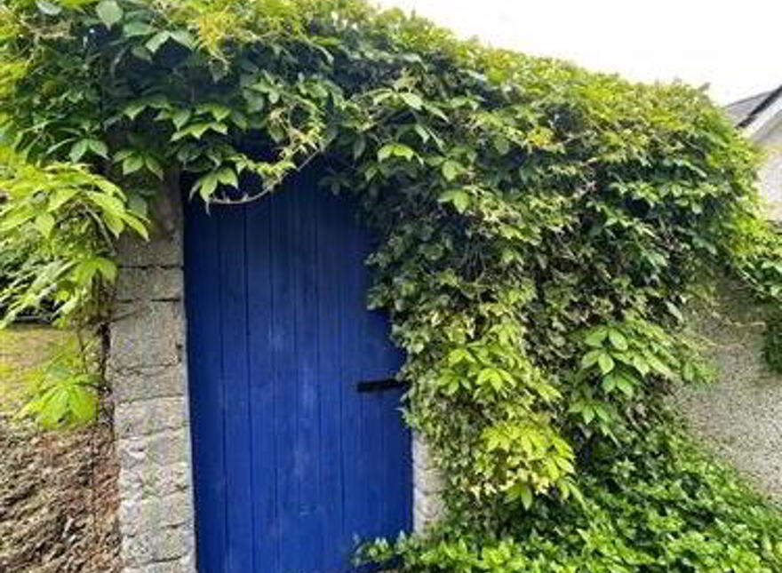 Drumnalasson, Ballaghaderreen, F45R660