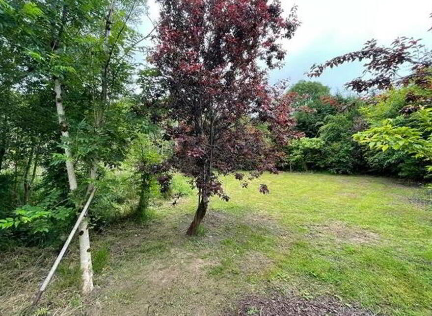 Drumnalasson, Ballaghaderreen, F45R660