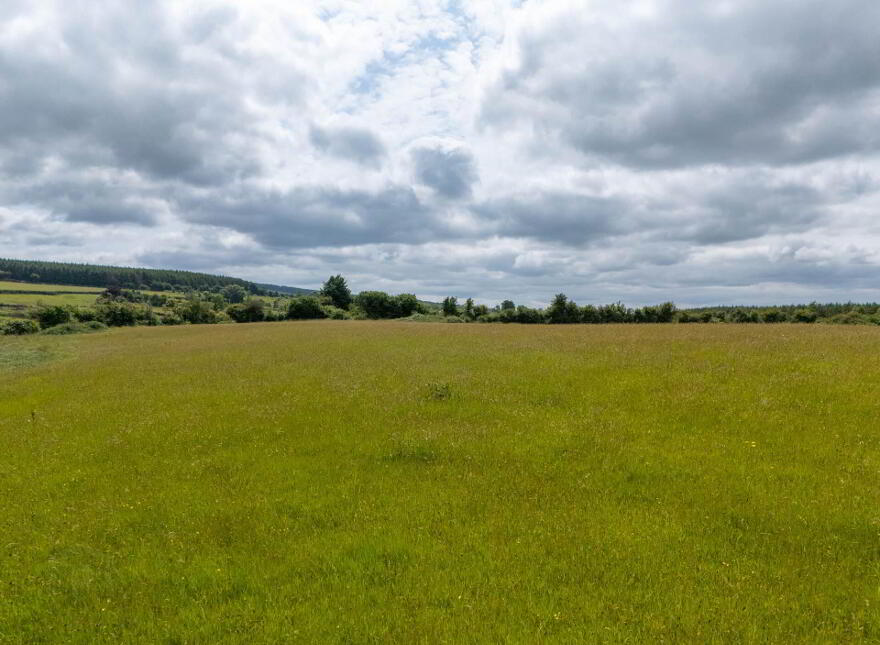 Cadamstown