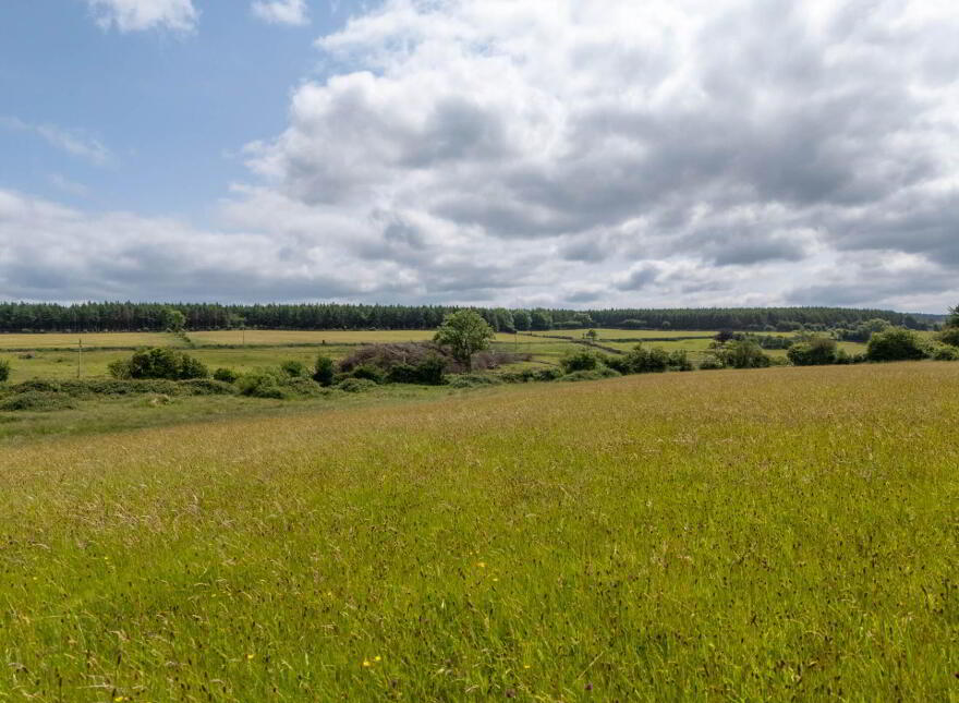 Cadamstown