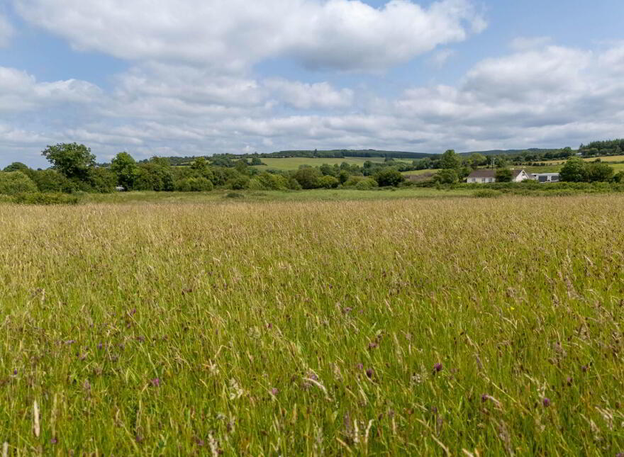 Cadamstown
