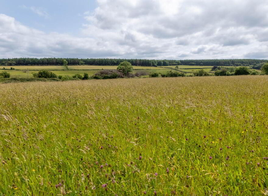 Cadamstown