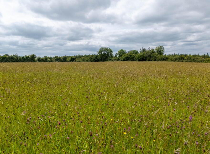 Cadamstown