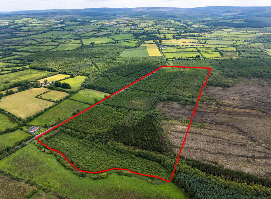 Curragh, Cadamstown