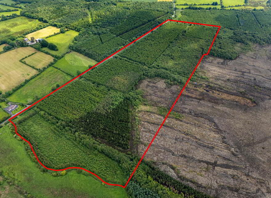 Curragh, Cadamstown