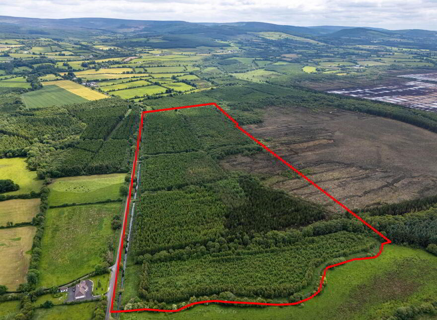 Curragh, Cadamstown