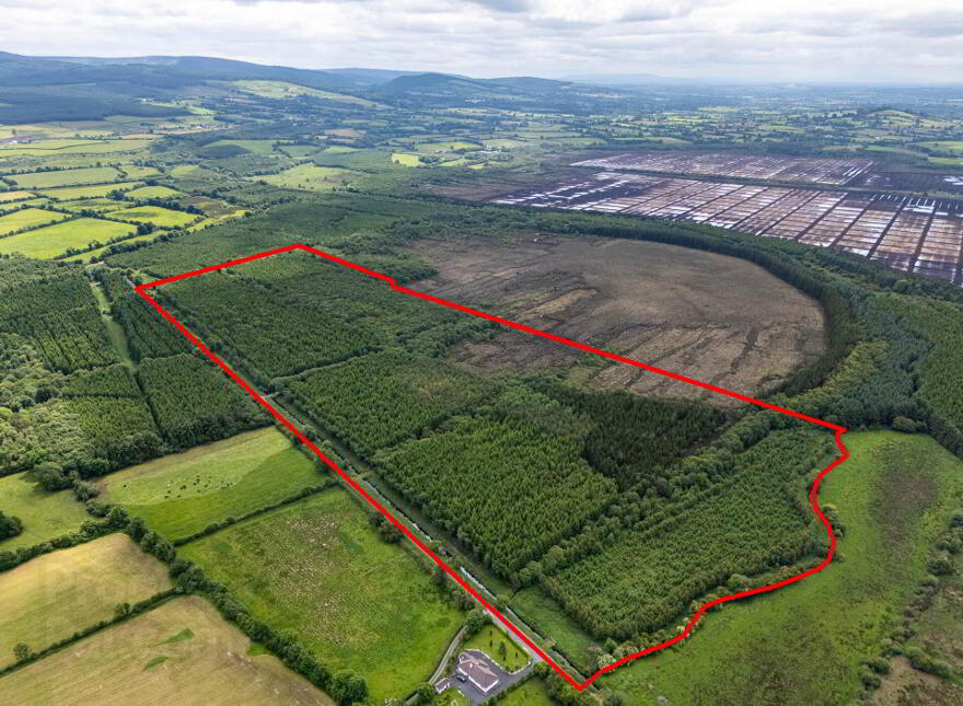 Curragh, Cadamstown photo
