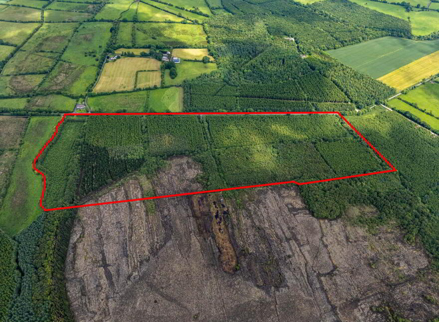Curragh, Cadamstown