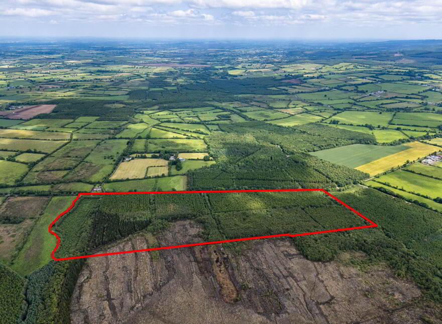 Curragh, Cadamstown