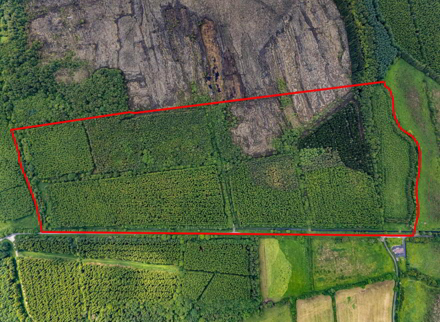 Curragh, Cadamstown