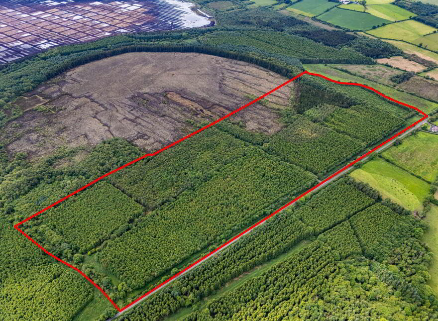 Curragh, Cadamstown
