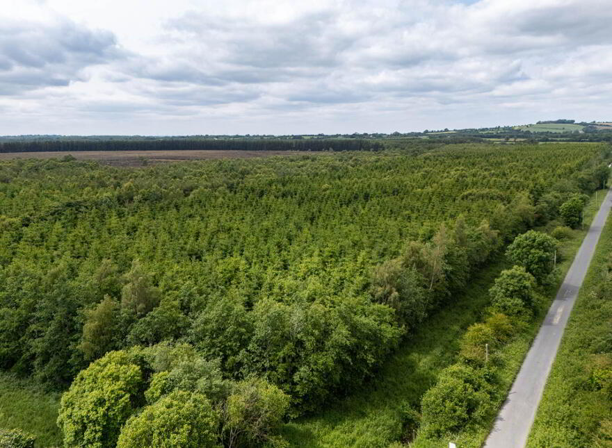 Curragh, Cadamstown