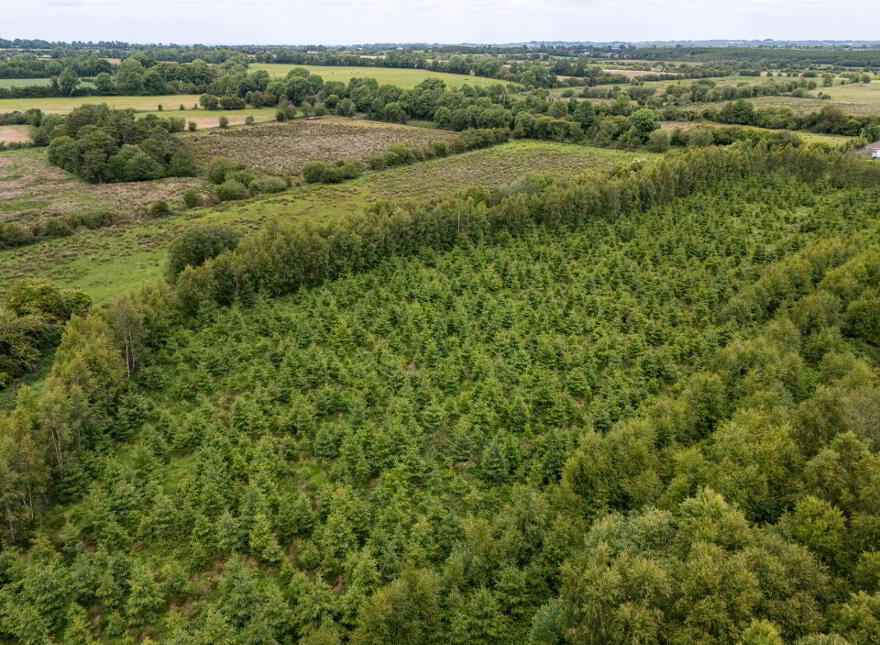 Curragh, Cadamstown