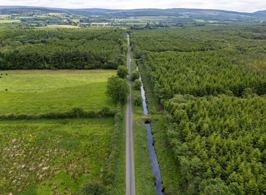Curragh, Cadamstown