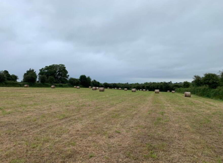 28 Round Bales Of Hay, Nenagh, E45TW18 photo