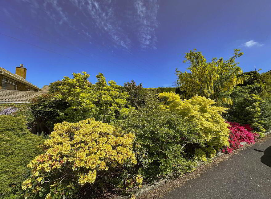 13 Trossachs Gardens, Belfast, BT10 0HX