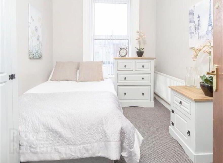 Room 5, 157 University Street, Belfast, BT7 1HR photo