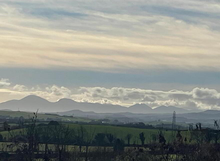 Brambles View, 190 Killynure Road, Saintfield, BT24 7DE
