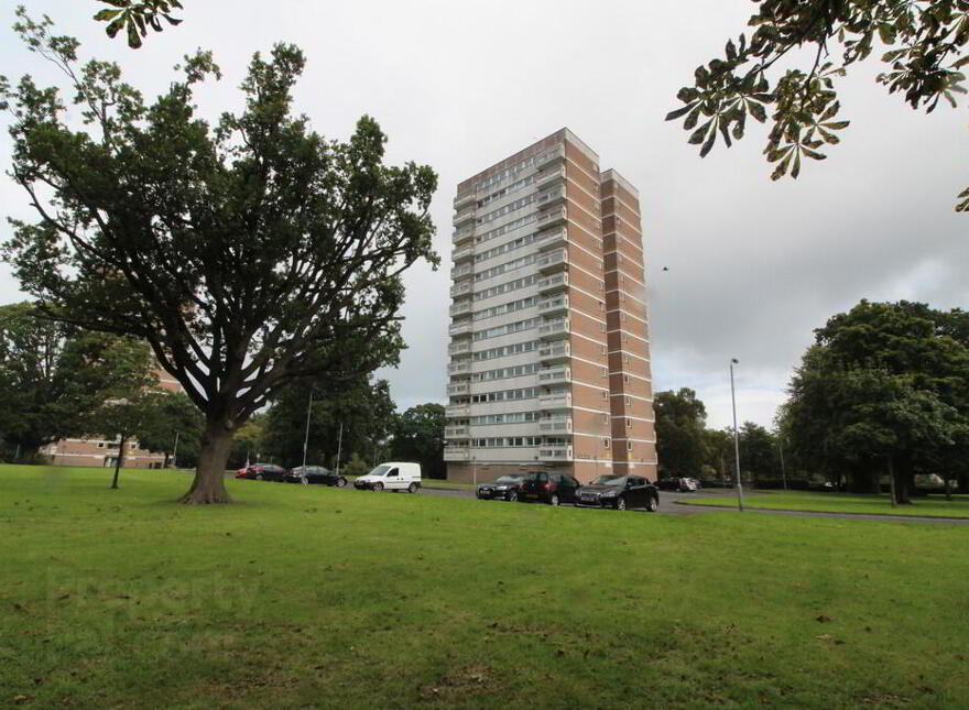 7d Beechwood House, Newtownabbey, BT37 9SF photo