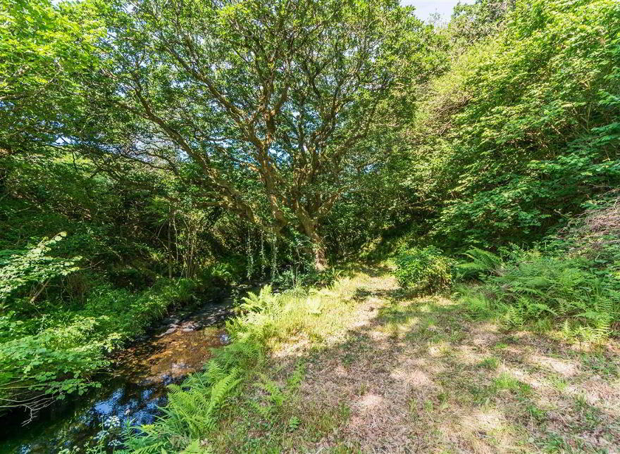 Riverwood, Gurteenroe, Ballydehob, West, P81FH72